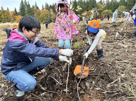 荒棄採石場|砕 跡地 に植栽 した 広葉樹4樹種 の 清水